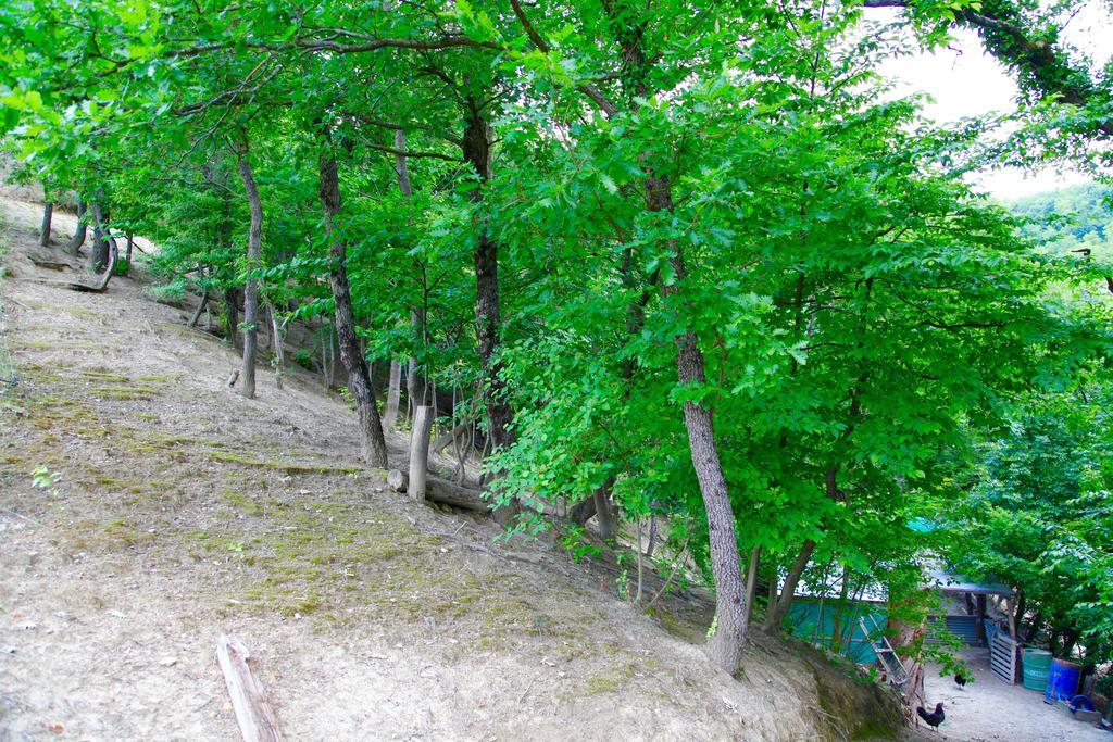 Agriturismo Biologico Villa Rosa Monte Guiduccio Екстер'єр фото