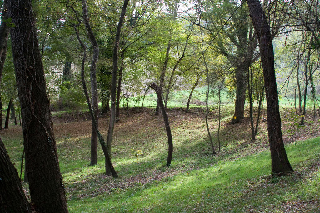 Agriturismo Biologico Villa Rosa Monte Guiduccio Екстер'єр фото