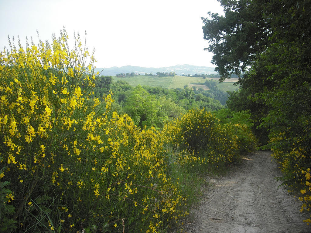 Agriturismo Biologico Villa Rosa Monte Guiduccio Екстер'єр фото