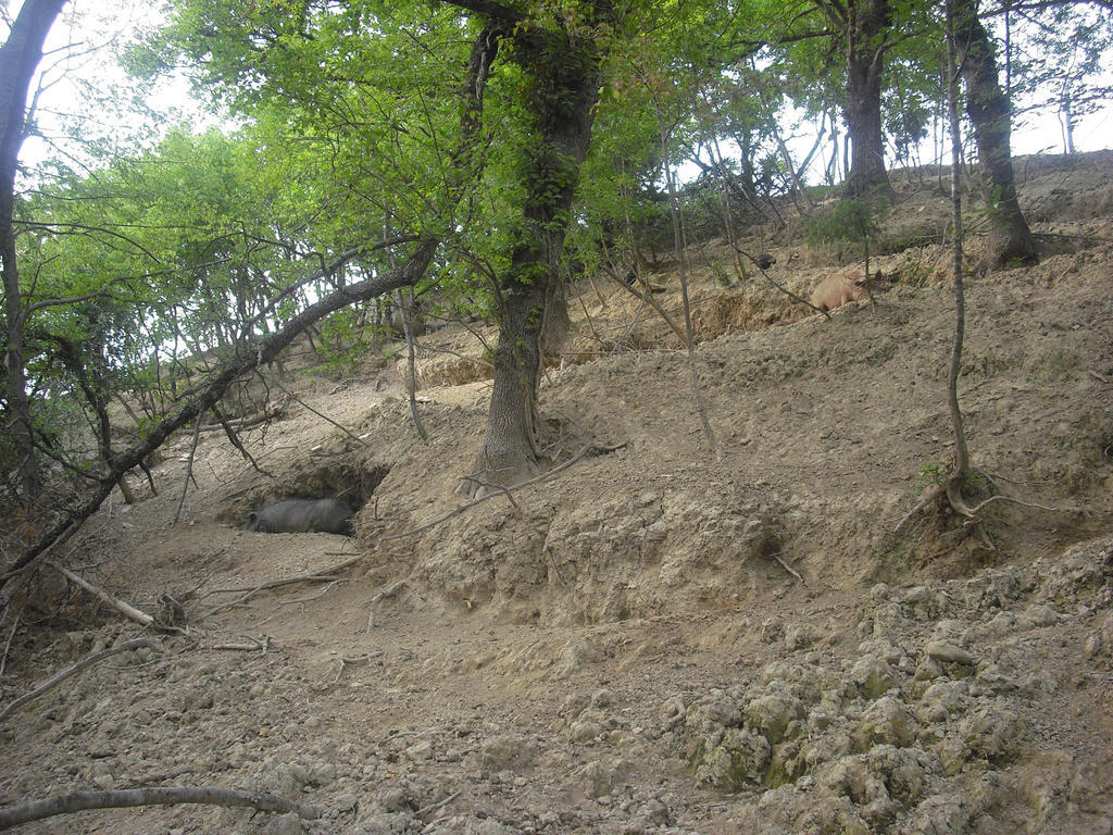Agriturismo Biologico Villa Rosa Monte Guiduccio Екстер'єр фото
